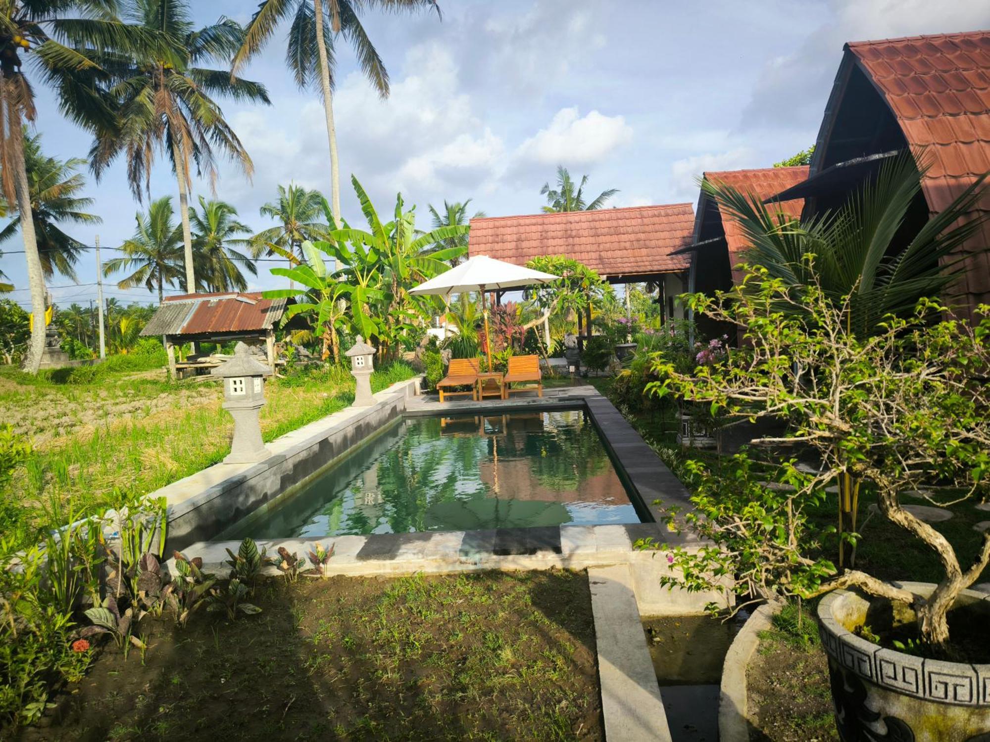 Eling Ubud Guesthouse Buitenkant foto